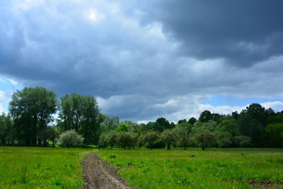 Spring landscape view