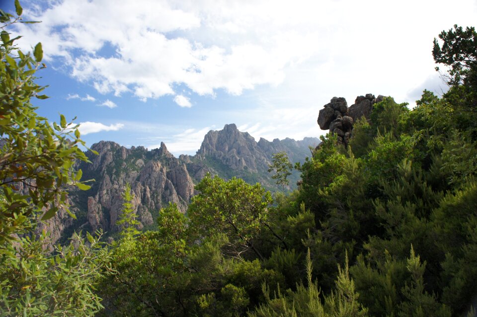 Nature maquis island of beauty