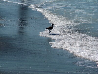 Beach peaceful