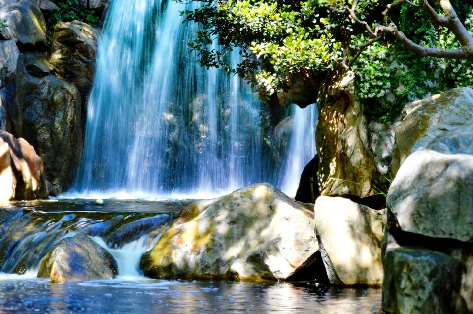 Chinese garden rocks