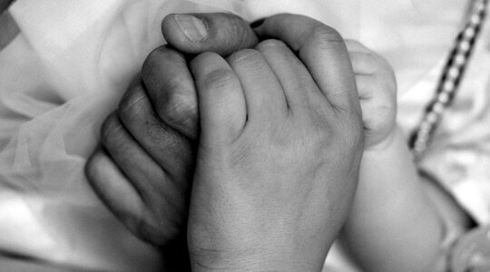 Family love contact