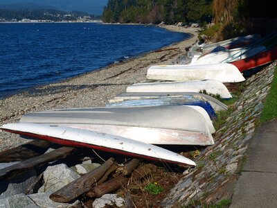 Canoeing paddle sunny