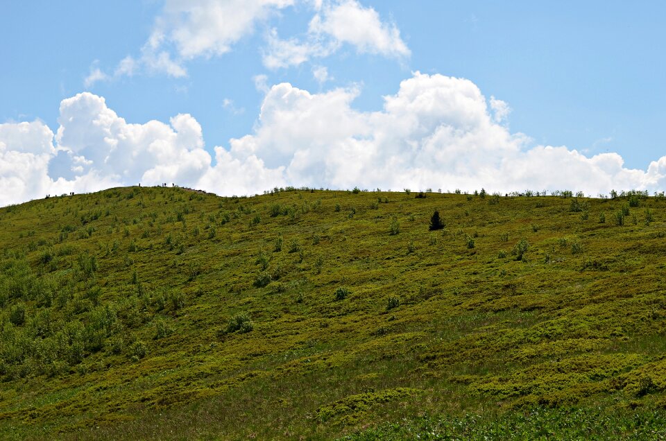 Bieszczady nature top view