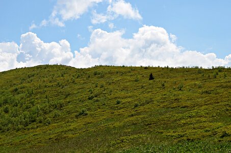 Bieszczady nature top view