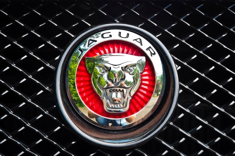 Vehicle sports car emblem