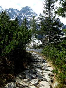 Landscape nature hiking trail photo