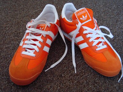 Gasele orange