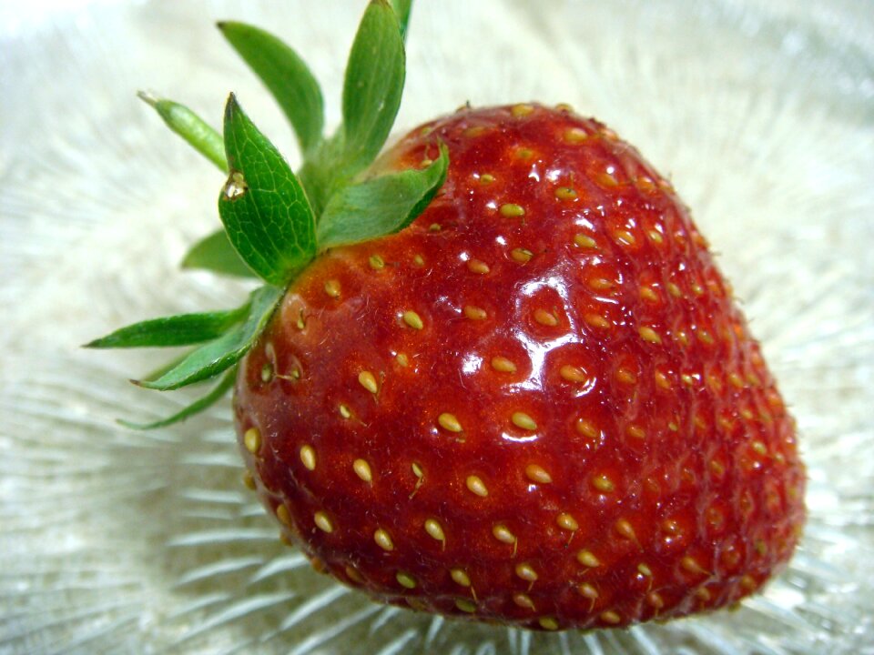 Healthy fresh organic