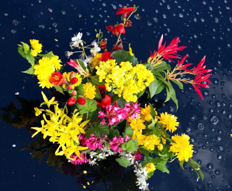Garden bouquet flowers