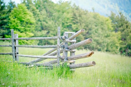 Meadow wooden posts coupling photo