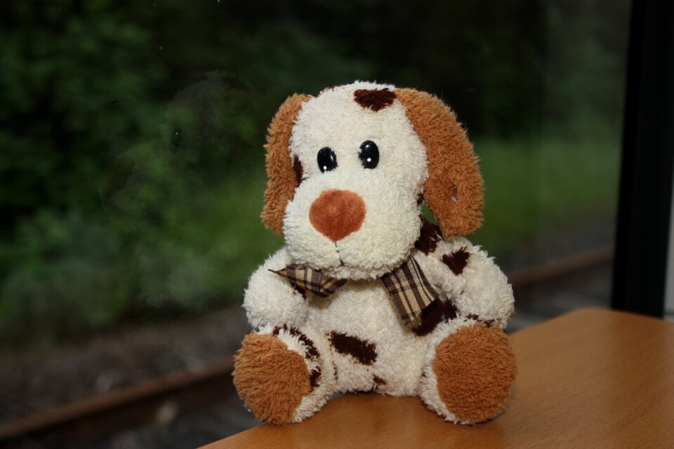 Toys cute teddy bear