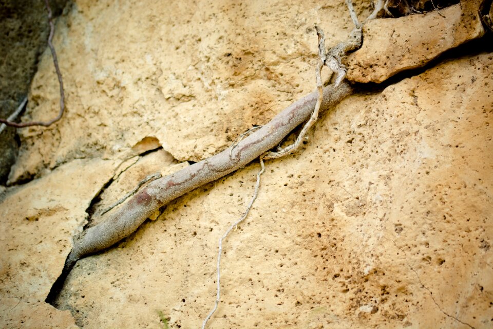 Crack column crevice