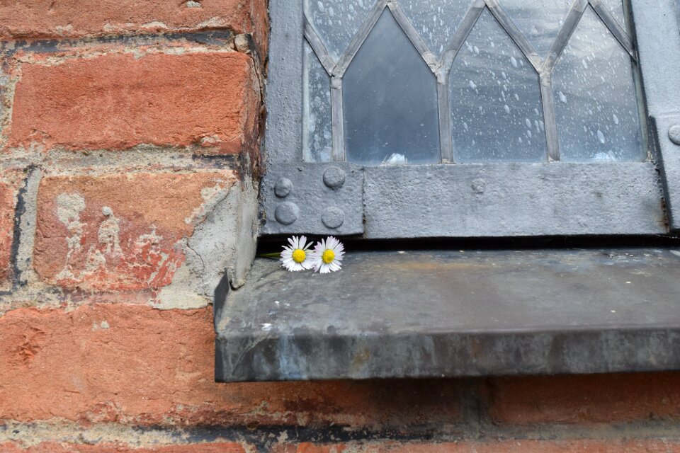 Close up romantic tradition