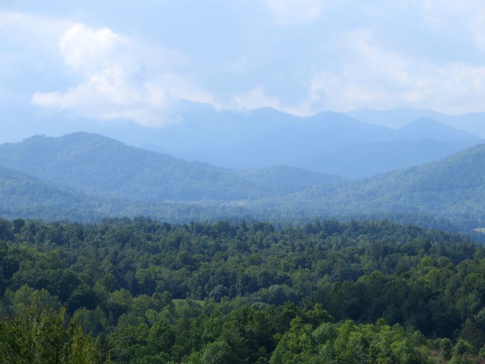 Landscape virginia parkway
