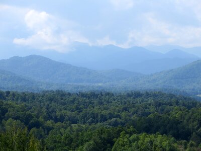 Landscape virginia parkway photo