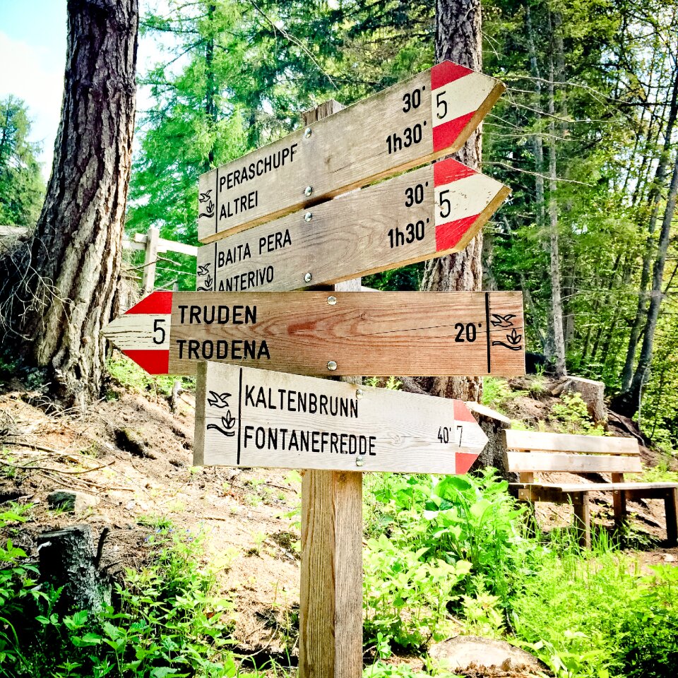Away signposts nature