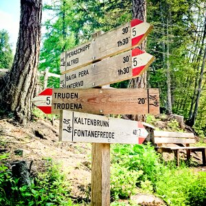 Away signposts nature photo