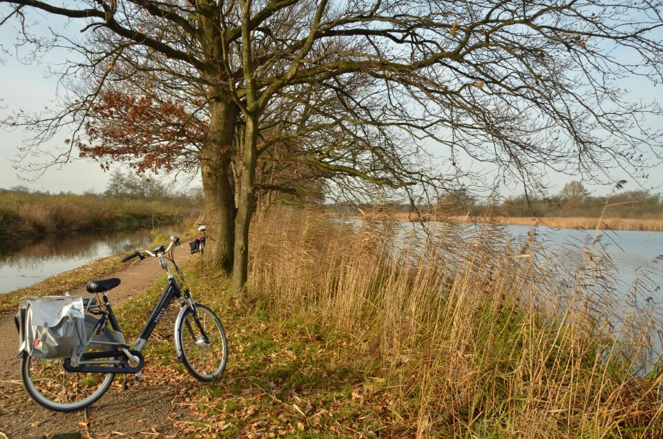 Bicycle bike path tree