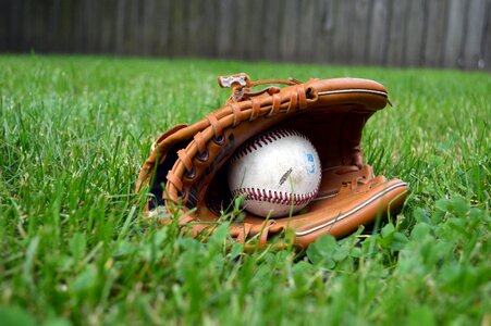 Grass yard leather