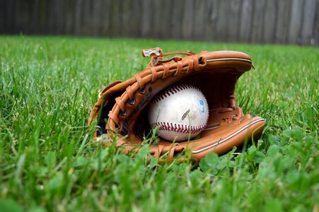 Grass yard leather photo