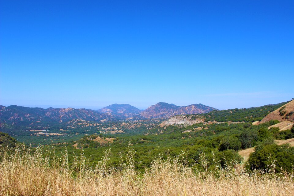 Landscape mountain bushes
