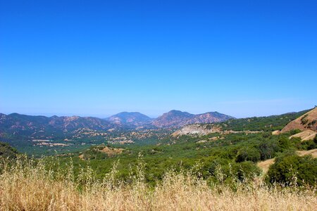Landscape mountain bushes