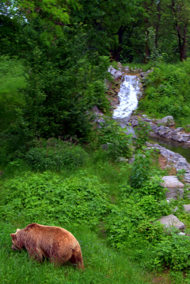 Waterfall wild nature mountains