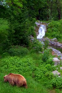 Waterfall wild nature mountains