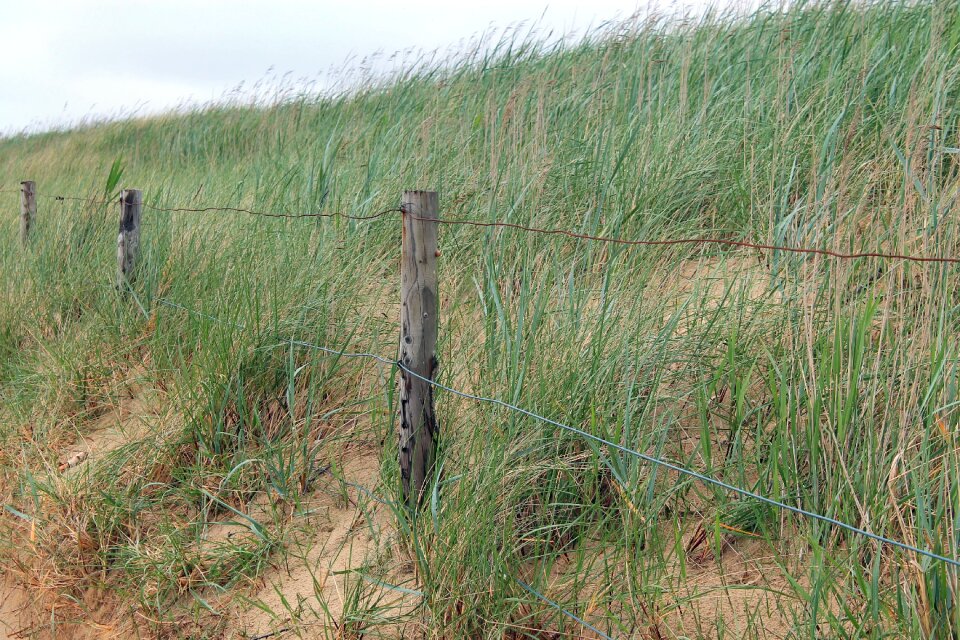 Beach sea nature reserve