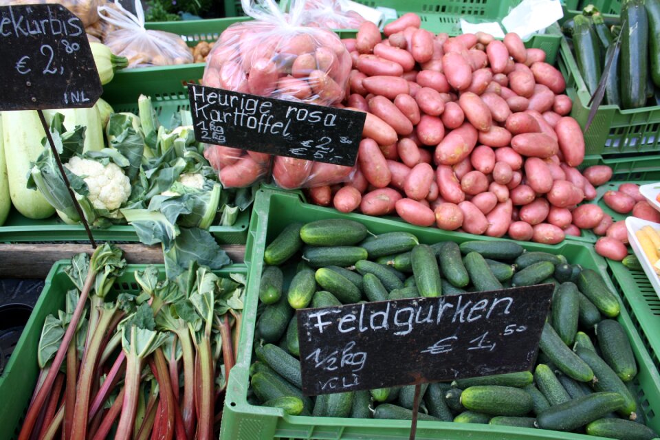 Cucumbers rabarber healthy