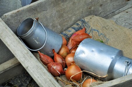 Farm kitchen dishes
