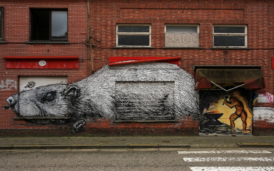 Geisterstadt doel in belgium rat graffiti