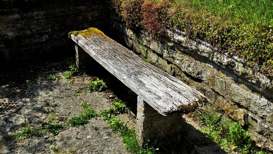 Worn wooden bench moss photo