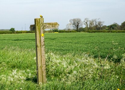 Rural hiking outdoors