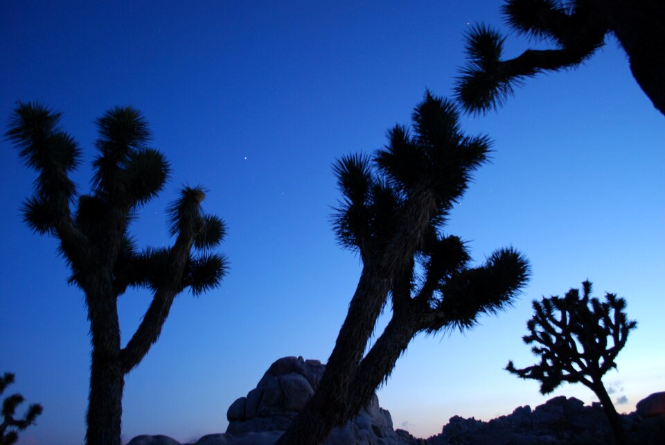 Landscape night sky