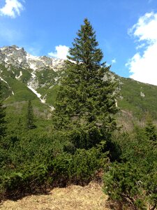 Tatry mountains needles