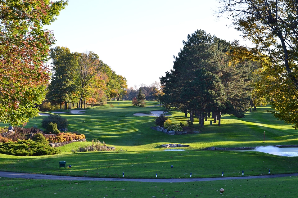 Manicured grass game photo