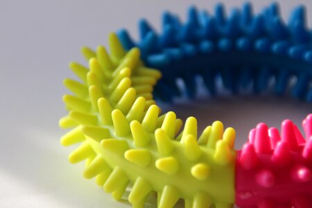 Spines colors round