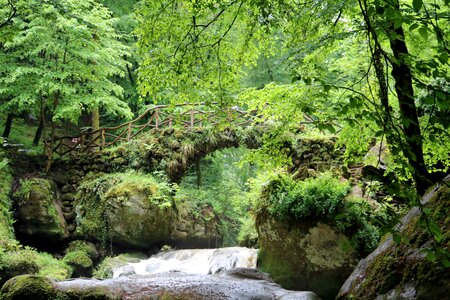 Mullerthal gorge landscape