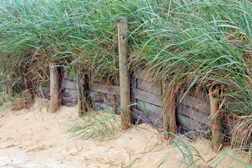 North sea pile sand