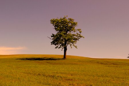 Landscape nature green