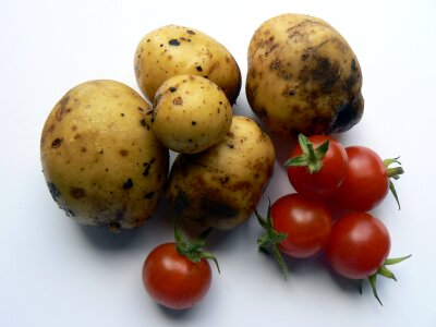Food vegetable garden potatoes photo