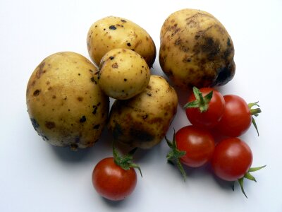 Food vegetable garden potatoes