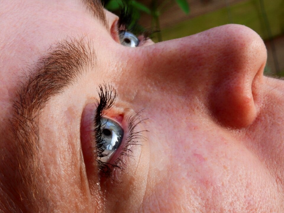 Woman human eyebrows