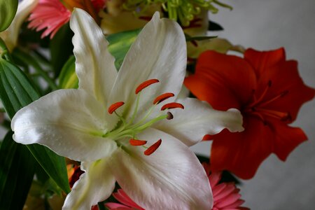 Bouquet close up photo