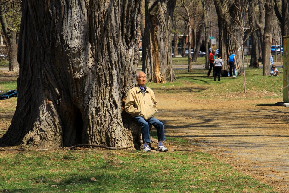 Man tree spring
