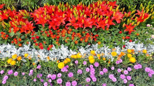 Flower garden ulsan taehwa