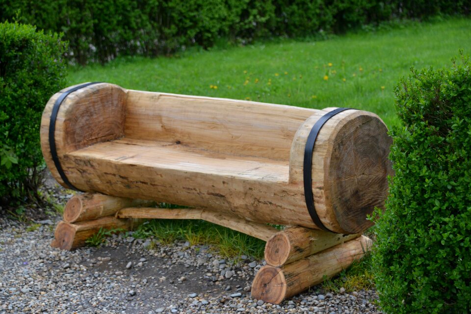 Trunk timber wooden