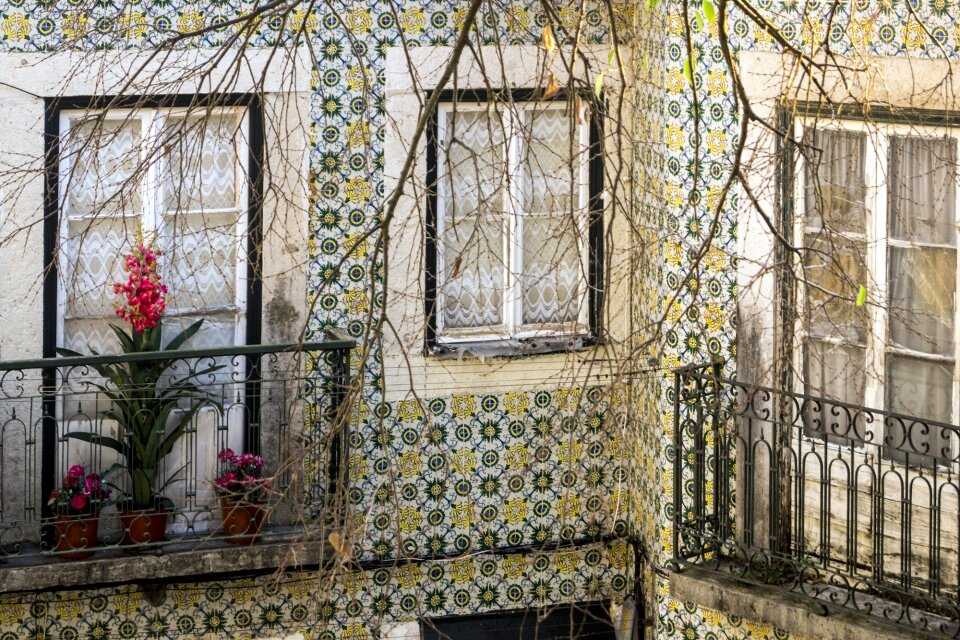 Alfama azulejos tile