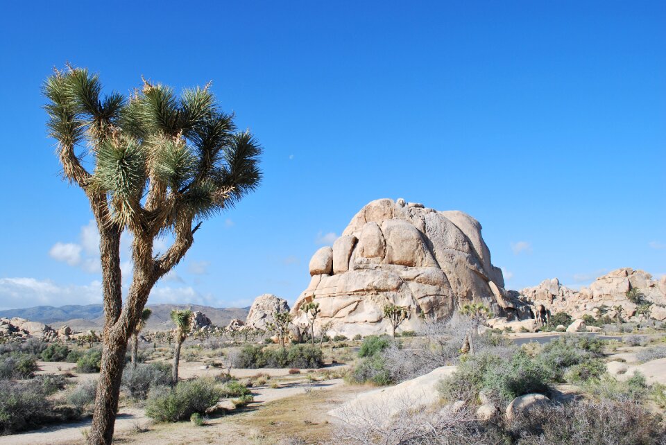 Landscape scenic desert photo